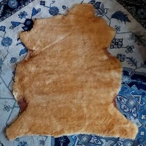 Luxurious Tan Sheepskin Rug